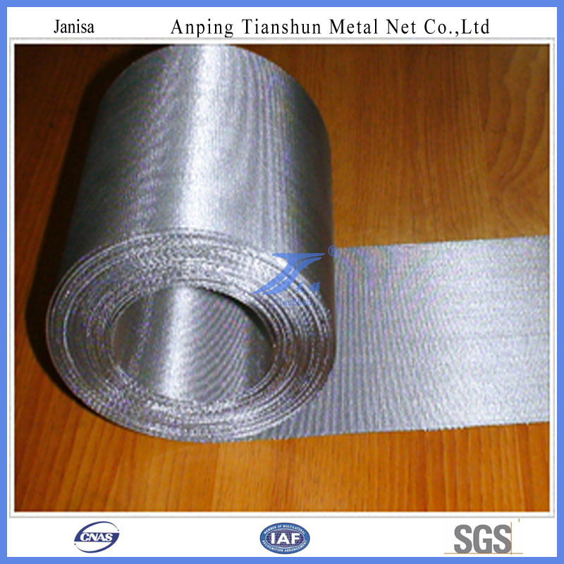 Stainless Steel Wire Mesh with High Quality (TS-J107)