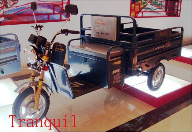 Electric Tricycle for Cargo (AG-A14)