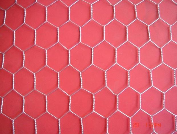 Galvanised Hexagonal Wire Mesh/Netting
