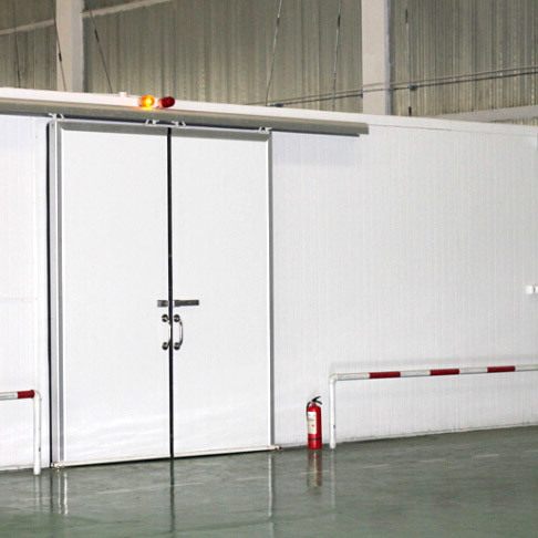 New High Quality Cold Room Factory and Frozen Food Center