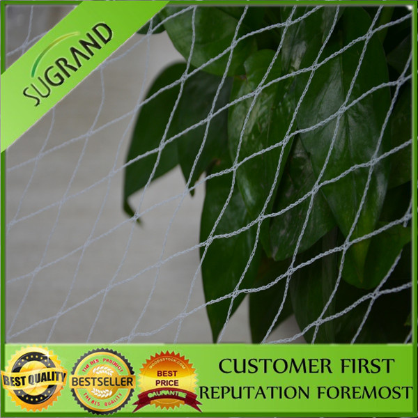 Anti Bird Net Product Made in China