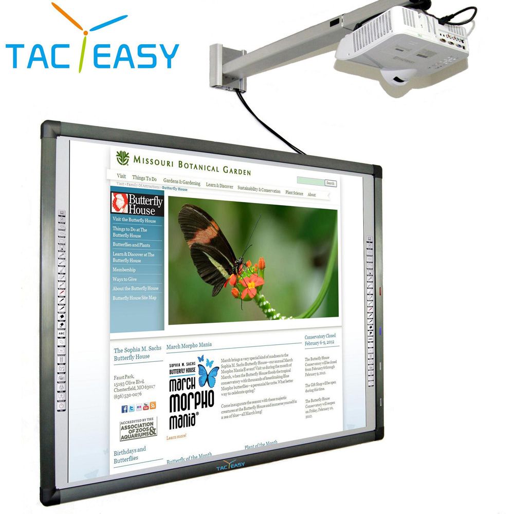 Interactive Whiteboard