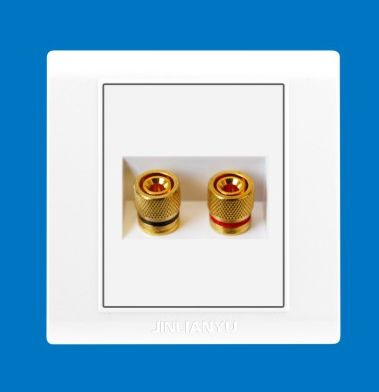 Audio Socket A3