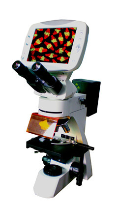 Med-L-DMS-855 Compound Digital LCD Fluorescence Microscope