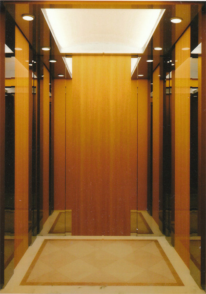 Delfar Passenger Elevator