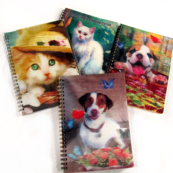 3D Notebook