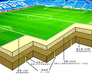 Agriculture Grade Sap Super Water Absorbent and Retaining Polymer for Grass, Lawn, Football Playgroud and Goft Field