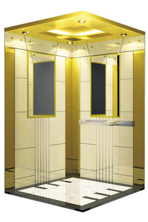 Passenger Elevator for 6-21persons
