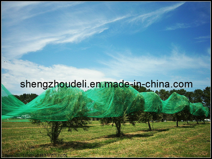 Agriculture Net - 1