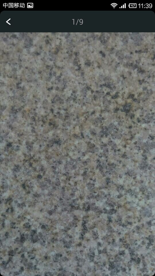 Bianco Argento Marble