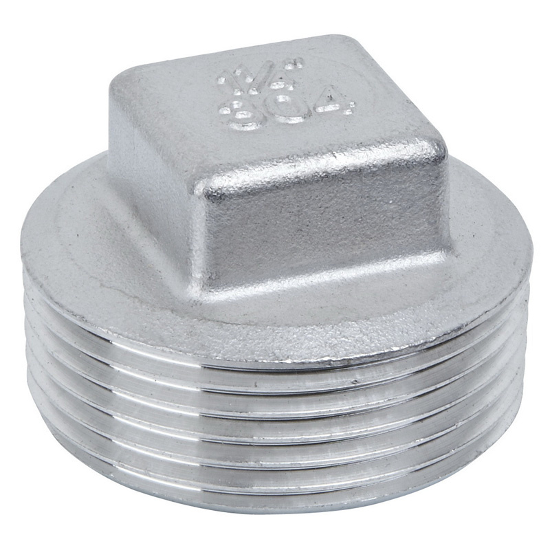 Ss Plug