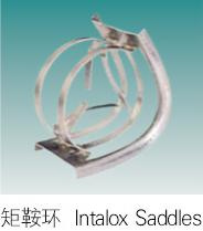 Intalox Ring