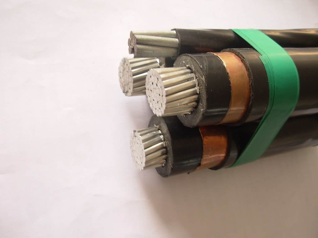 Quadruplex Service Drop AAAC 6201 Alloy Neutral Conductor Bay