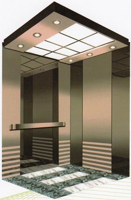 Fjzy-Elevator (FJ8000-1) Elevator Passenger101