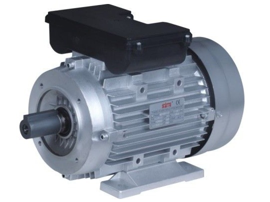 Permanent Split Capacitor Induction Electric Motor (YY MY)