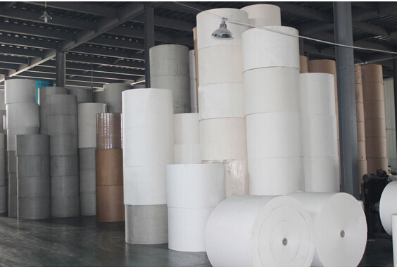 Raw Material for Paper Cup/ PE Coated Paper Raw Materials for Paper Cups Roll / Paper Cup Raw Material