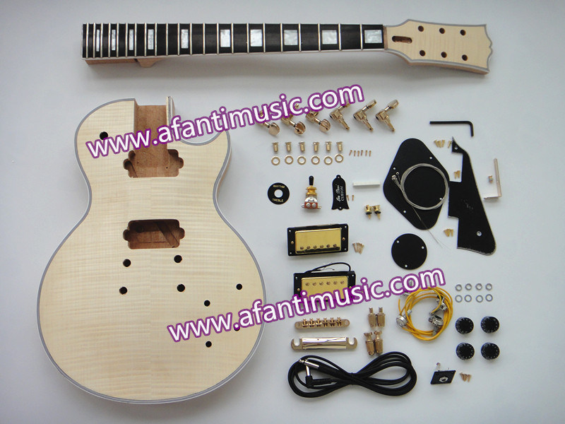 Lp Custom DIY Electric Guitar Kit (CST-101)