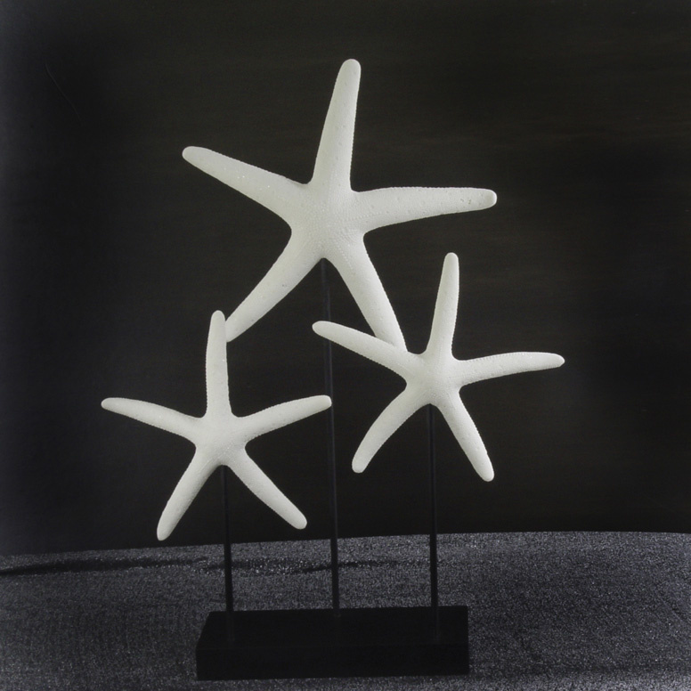 Starfish Shape Statue with MDF Board for Home or Hotel Decoration/ Starfish Figurine