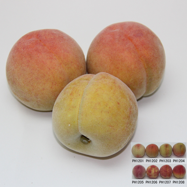 Artificial Fruit, Imitative Polyfoam Peach (PHH06-2-1202)