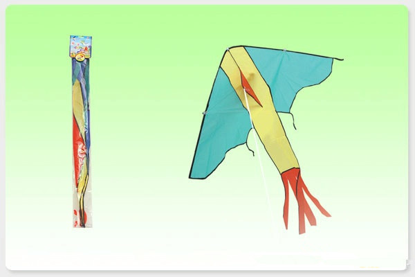 Double-String Stunt Kite