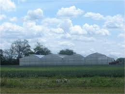 Anti Insect Net for 60mesh