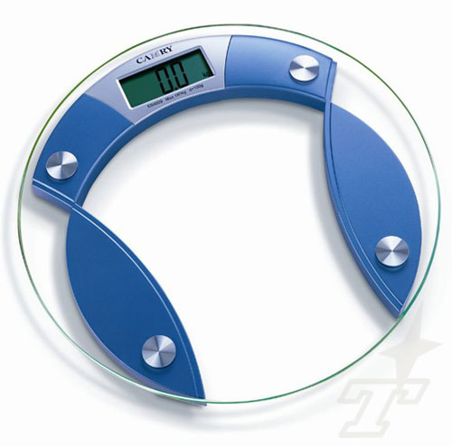 Electronic Scale