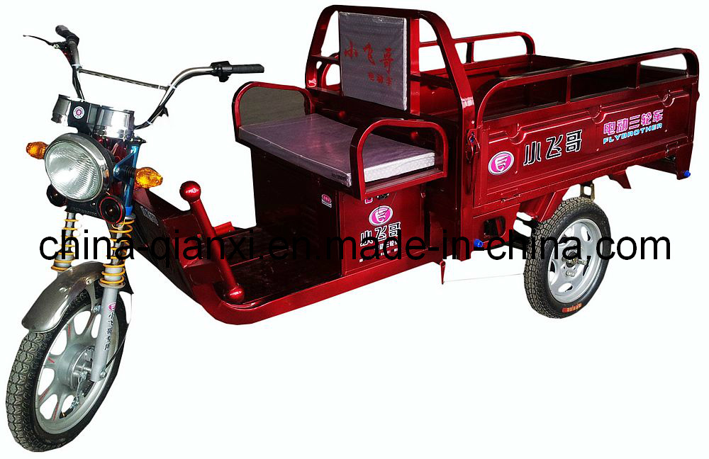 Electric Tricycle Qxsg806013