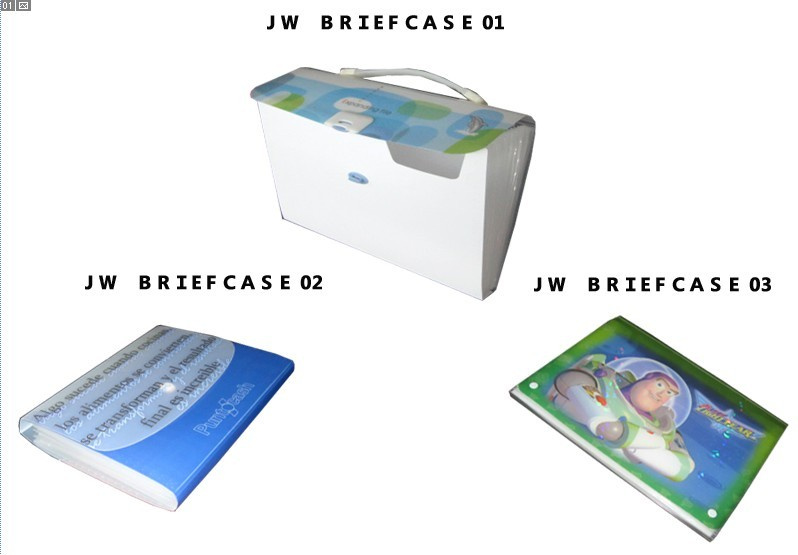 Brief Case