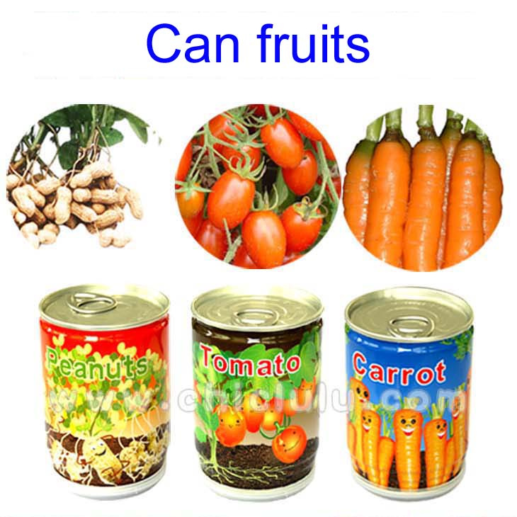 Mini Vegetable