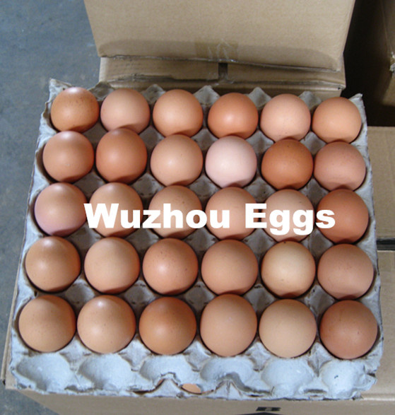 Eggs