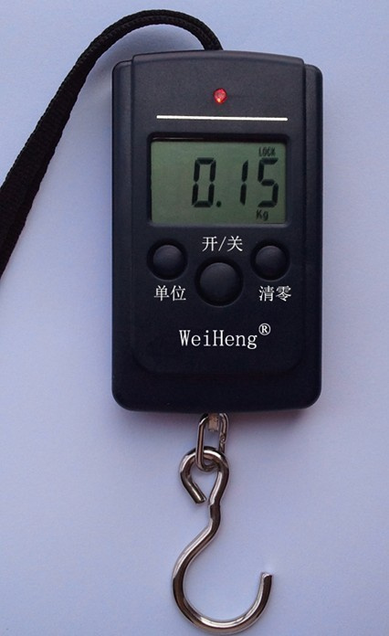 Weiheng Electronic Porket Scale A01L 10kg/5g