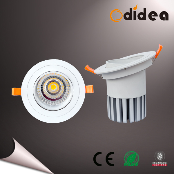 30W 15/24/38/60deg Citizen LED Source Ceiling Lamps