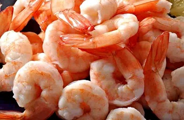 Shrimp