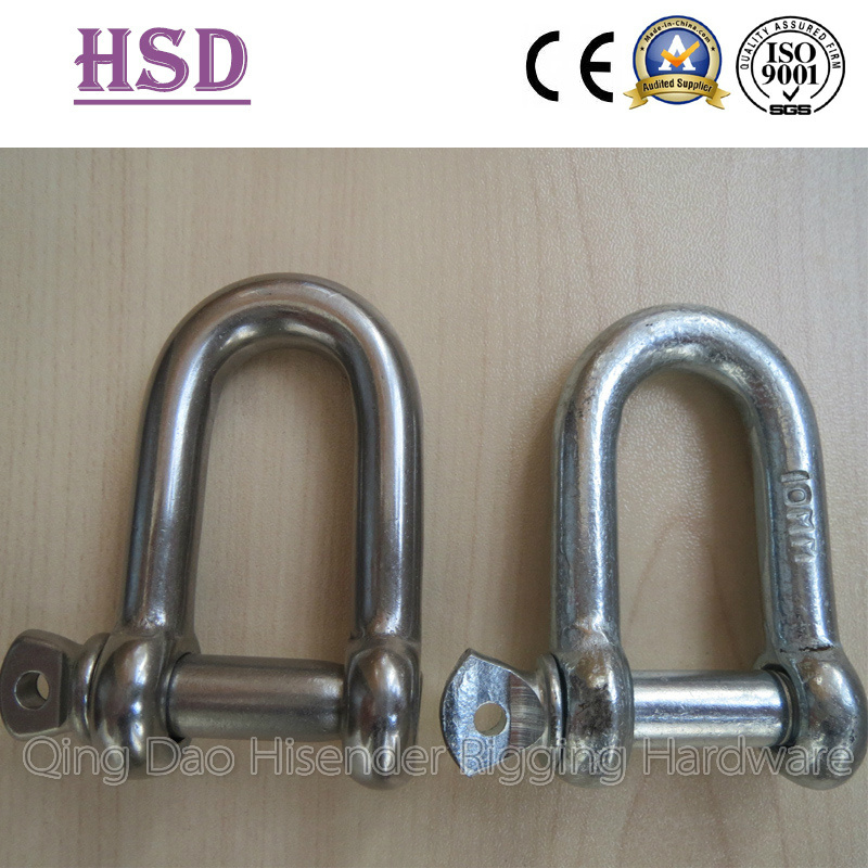 Shackle, D Type, Ss316 and Galvanized Type, European D Type, JIS D Type, Rigging Hardware, Marine Hardware