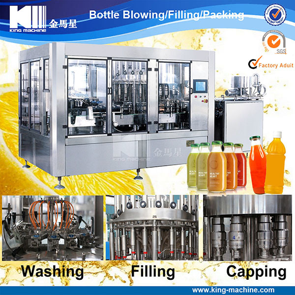 Automatic Apple Juice Packing Machine (RCGF-XFH)