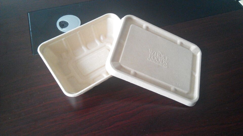 Biodegradable Tableware