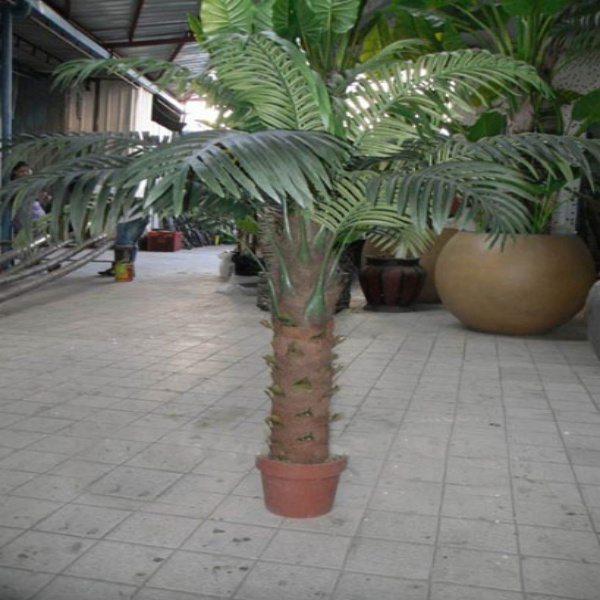 Artificial Palm Tree Bonsai Artificial Plant for Decor Anywhere