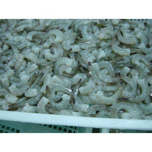 Raw Pnd Tail on Vannamei Shrimp