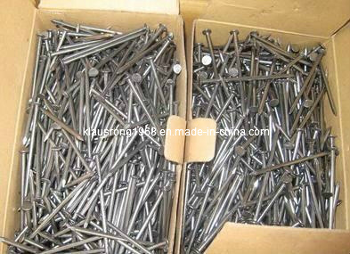 Polished Common Nail with High Quality