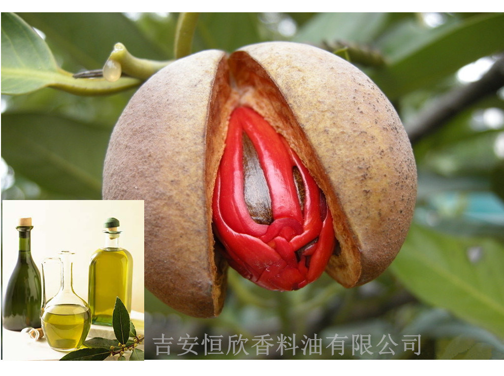 100% Pure Natural Nutmeg Oil
