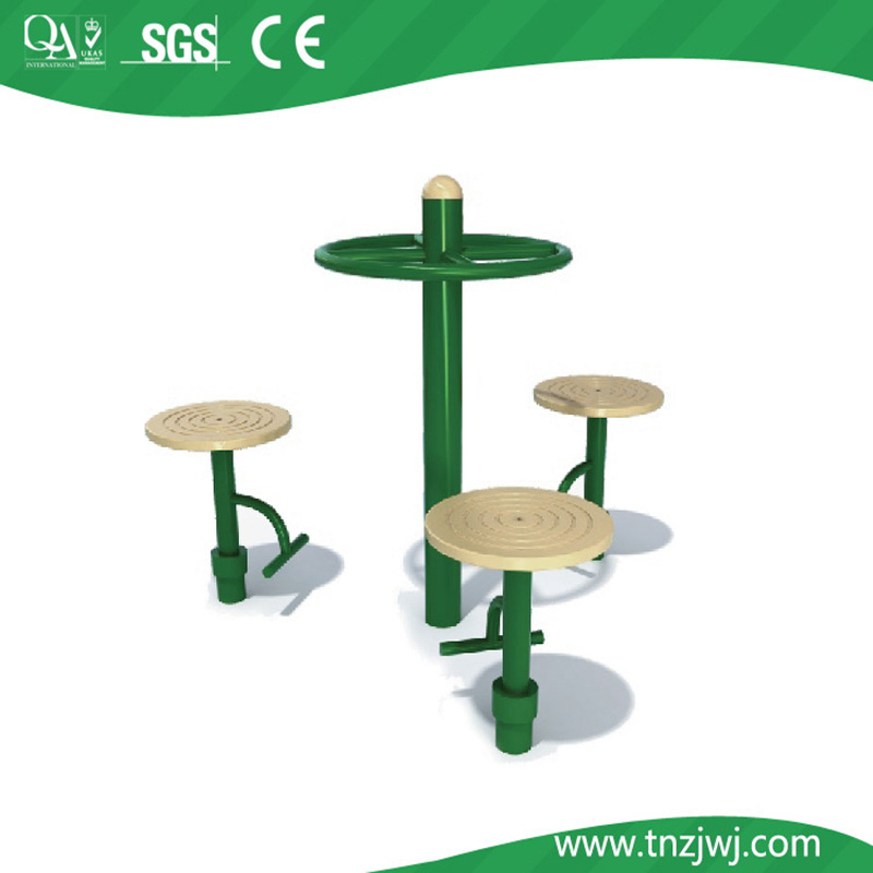 Outdoor Body Strong Fitness Equipment (T-P3181F)