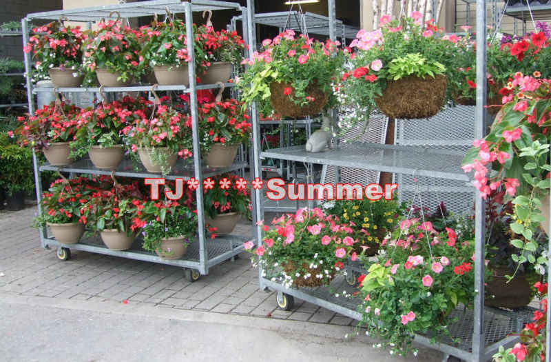Metal Flowers Cart for Greenhouse