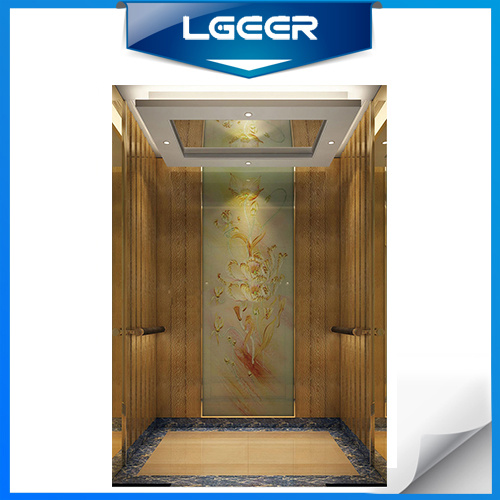 Professional Passenger Elevators