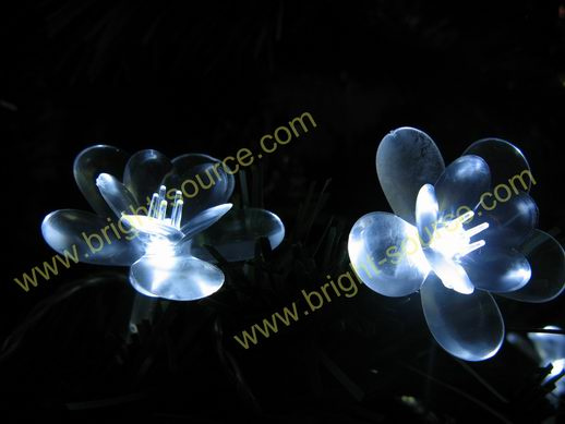 20l LED Light with Assorted Acrylic Design (LDT101502)
