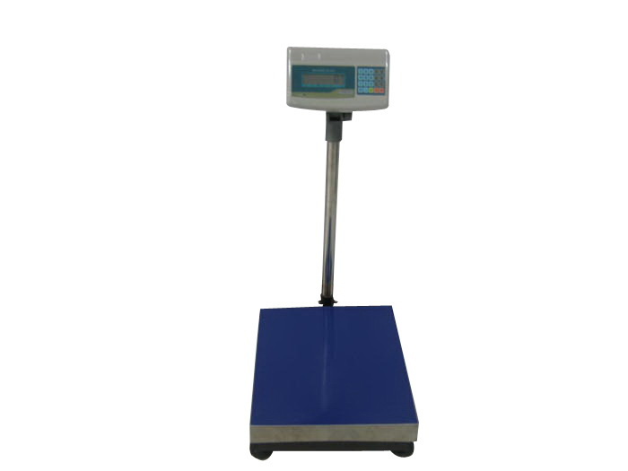 Platform Scale