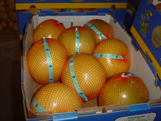 Pomelo