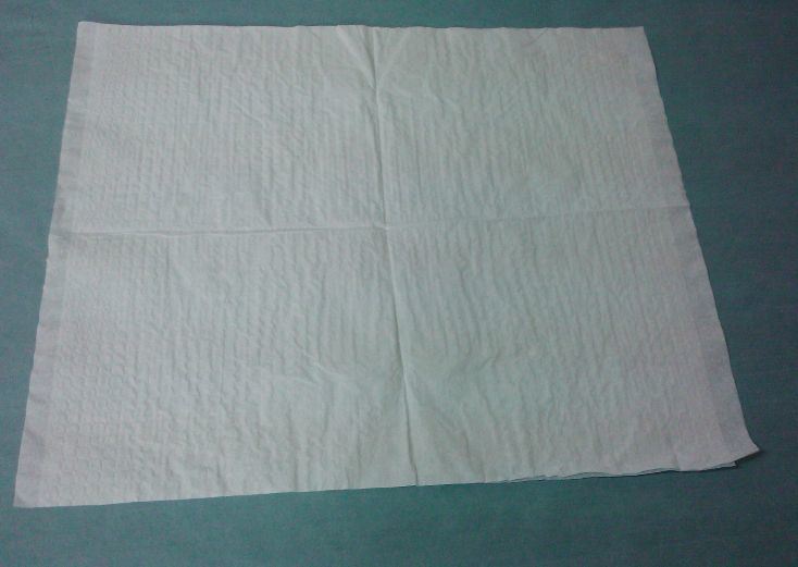 Disposable Absorbent Pad