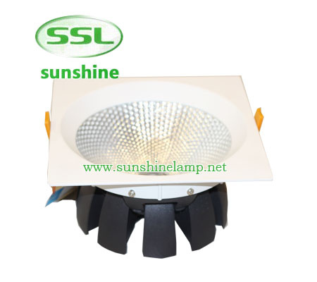 30W LED COB Down Light for Restaurant