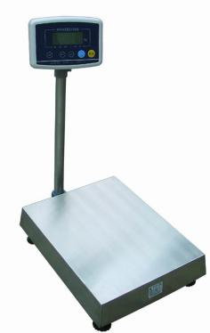 Platform Scale