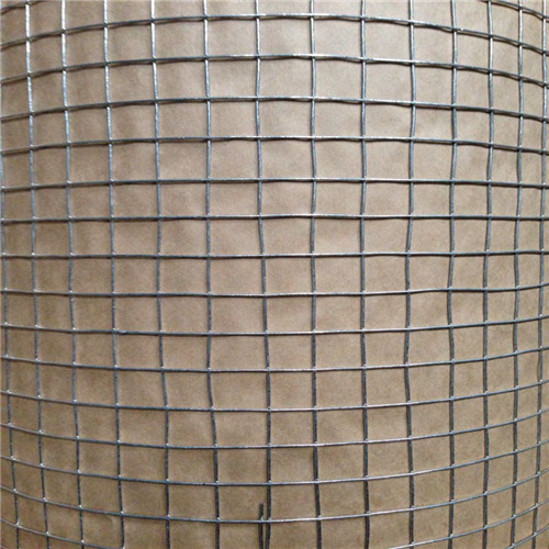 China 1/2''mesh Opening Welded Wire Mesh